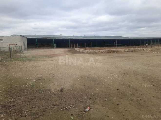 Объект - Гарадагский р. - 5000 м² (1)