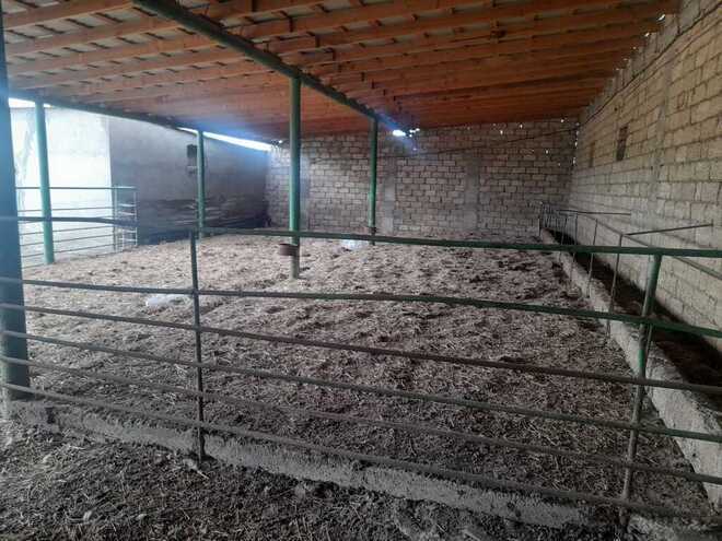 Объект - Гарадагский р. - 5000 м² (20)