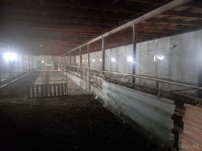Объект - Гарадагский р. - 5000 м² (11)