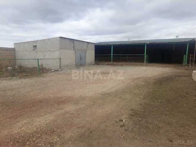 Объект - Гарадагский р. - 5000 м² (16)