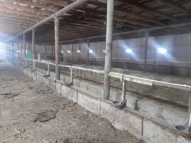Объект - Гарадагский р. - 5000 м² (23)