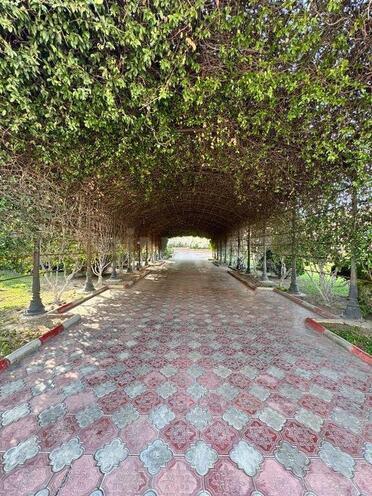 6 otaqlı həyət evi/bağ evi - Nəsimi m. - 650 m² (17)