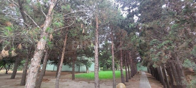 10-комн. дом/дача - пос. Новханы - 300 м² (26)