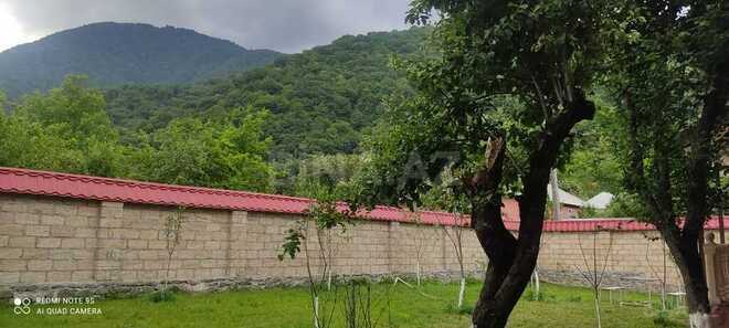 3 otaqlı həyət evi/bağ evi - Qəbələ - 120 m² (21)