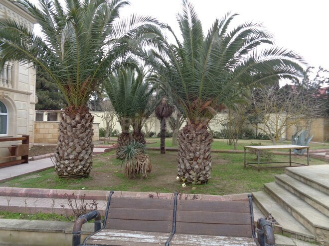 10 otaqlı həyət evi/bağ evi - Mərdəkan q. - 300 m² (25)