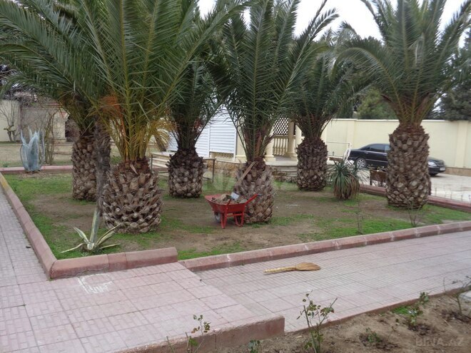 10 otaqlı həyət evi/bağ evi - Mərdəkan q. - 300 m² (22)