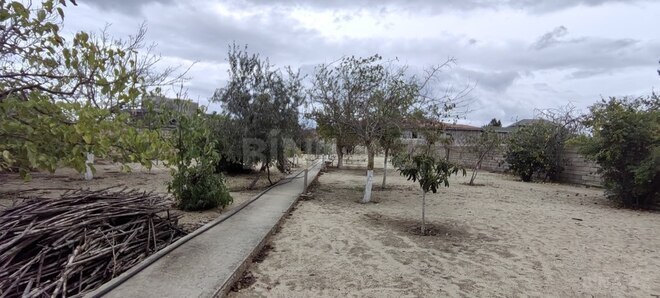 Satılır  torpaq 24 sot, Bilgəh q., photo 13 from 22