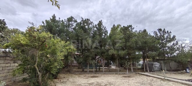 Satılır  torpaq 24 sot, Bilgəh q., photo 6 from 22