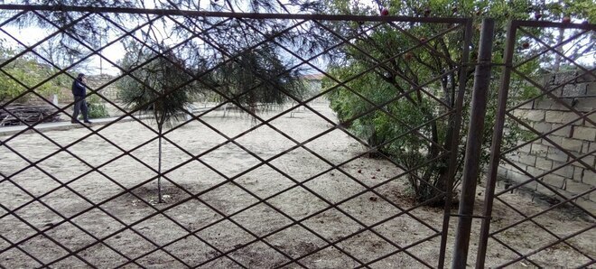 Satılır  torpaq 24 sot, Bilgəh q., photo 11 from 22