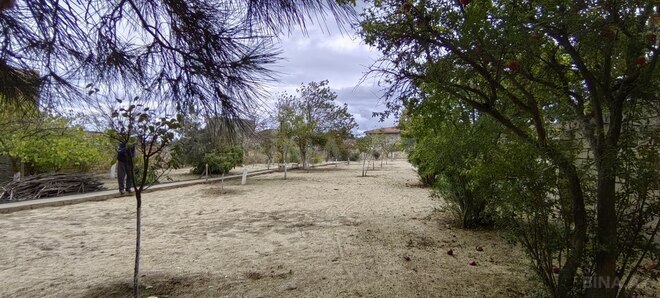 Satılır  torpaq 24 sot, Bilgəh q., photo 1 from 22