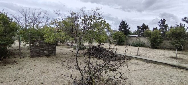 Satılır  torpaq 24 sot, Bilgəh q., photo 8 from 22