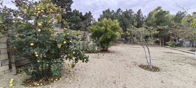 Satılır  torpaq 24 sot, Bilgəh q., photo 4 from 22