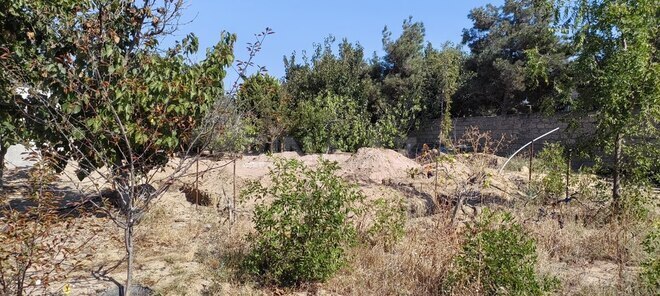 Satılır  torpaq 24 sot, Bilgəh q., photo 20 from 22