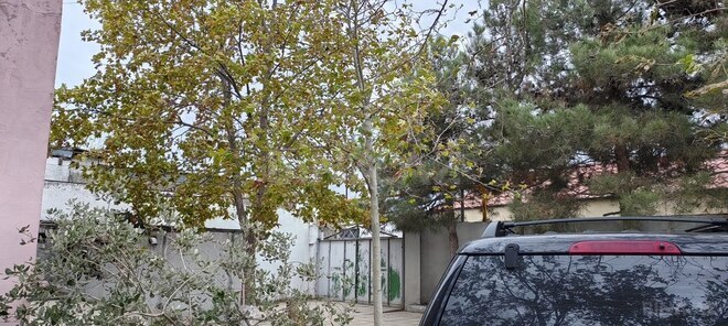 Satılır  torpaq 24 sot, Bilgəh q., photo 15 from 22