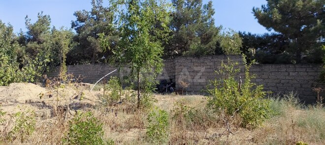 Satılır  torpaq 24 sot, Bilgəh q., photo 21 from 22