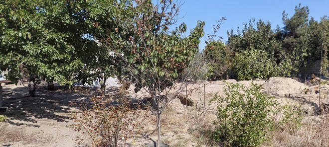 Satılır  torpaq 24 sot, Bilgəh q., photo 19 from 22