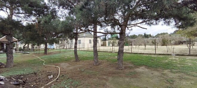 Satılır  torpaq 20 sot, Bilgəh q., photo 18 from 28