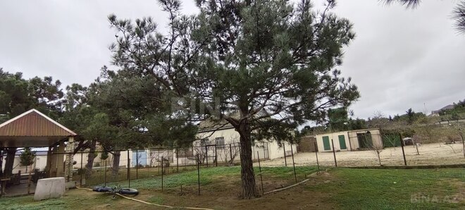 Satılır  torpaq 20 sot, Bilgəh q., photo 12 from 28