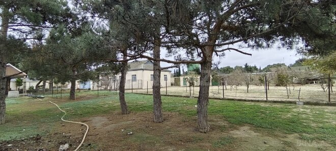 Satılır  torpaq 20 sot, Bilgəh q., photo 17 from 28