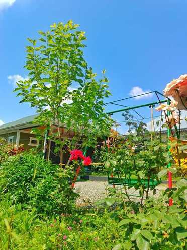 İcarəyə verilir 4 otaqlı həyət evi/bağ evi 100 m², photo 23 from 25