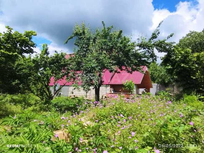 İcarəyə verilir 3 otaqlı həyət evi/bağ evi 80 m², photo 22 from 30