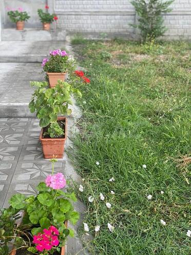 İcarəyə verilir 3 otaqlı həyət evi/bağ evi 70 m², photo 16 from 17