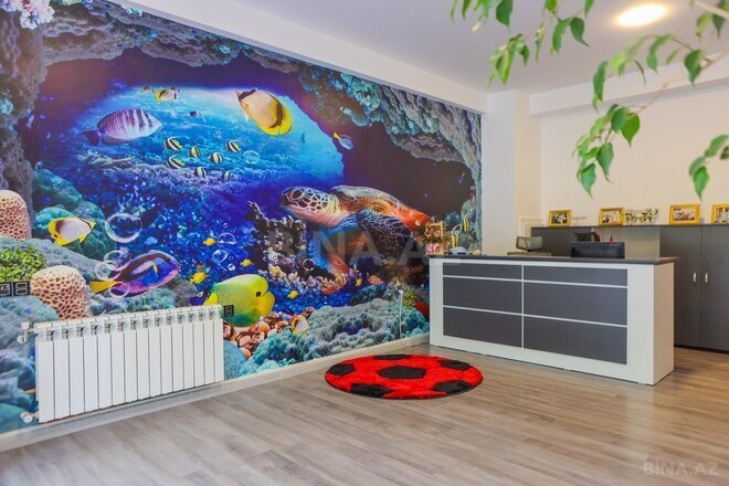 Obyekt - Xalqlar Dostluğu m. - 517 m² (4)