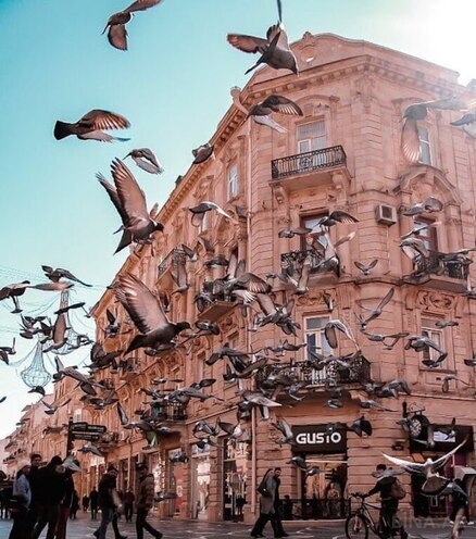 Продаётся  объект 30 м², м. Сахил, photo 9 from 13