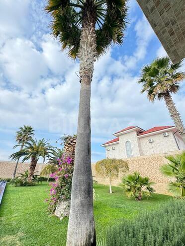 6 otaqlı həyət evi/bağ evi - Şüvəlan q. - 500 m² (10)