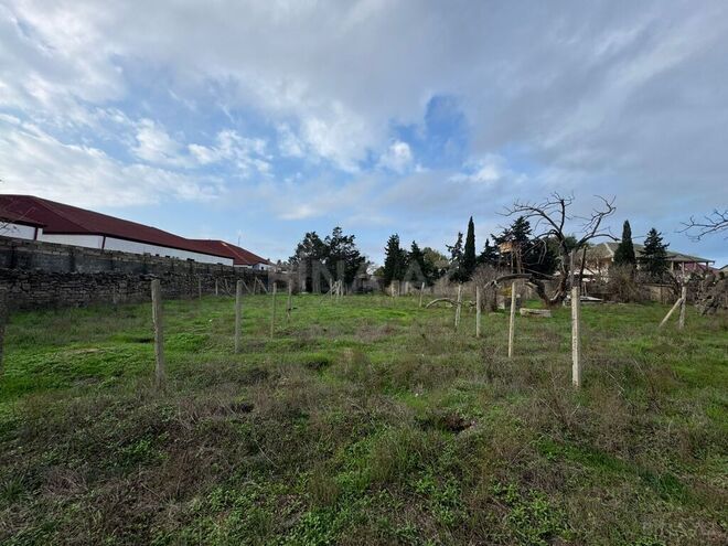 Продаётся  участок 31 сот, пос. Шувеляны, photo 4 from 8