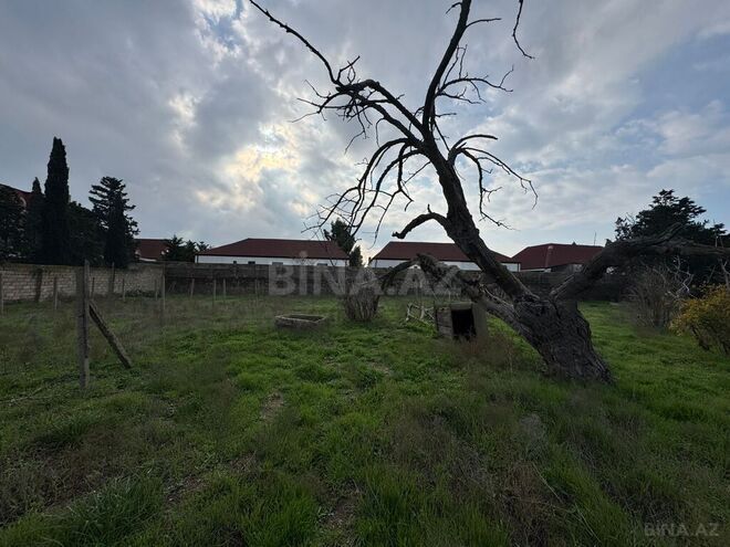 Продаётся  участок 31 сот, пос. Шувеляны, photo 5 from 8