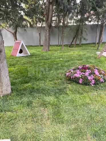 1 otaqlı köhnə tikili - Memar Əcəmi m. - 40 m² (3)