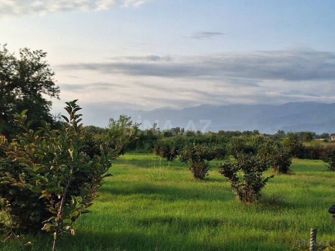 Продаётся  участок 100 сот, photo 7 from 27