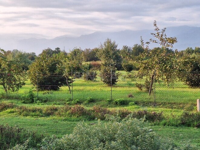 Продаётся  участок 100 сот, photo 6 from 27