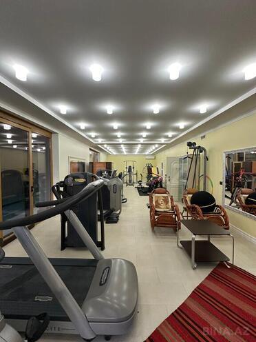 6 otaqlı həyət evi/bağ evi - Nəsimi r. - 840 m² (28)