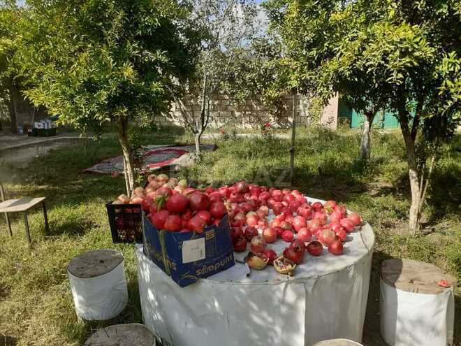 Продаётся 3-комн. дом/дача 104 м², пос. Рамана, photo 15 from 32