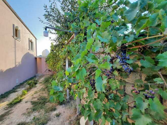 Продаётся 3-комн. дом/дача 104 м², пос. Рамана, photo 16 from 32