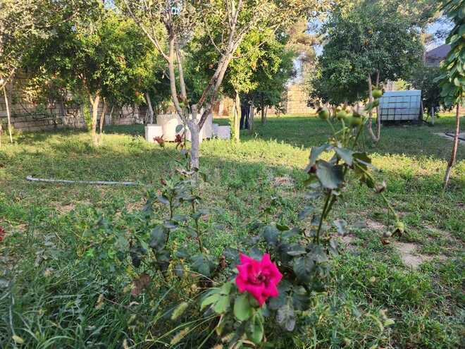 Продаётся 3-комн. дом/дача 104 м², пос. Рамана, photo 12 from 32