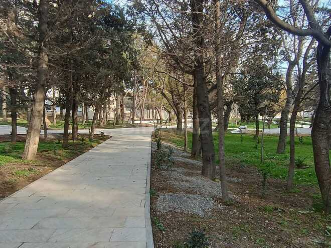 Obyekt - Nərimanov r. - 578.5 m² (20)