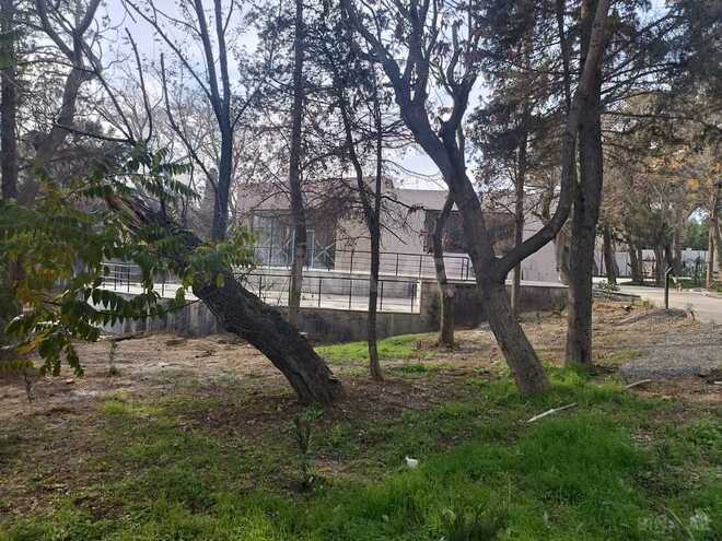 Obyekt - Nərimanov r. - 578.5 m² (24)