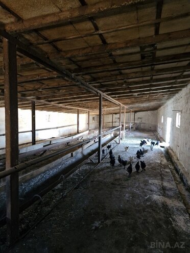 Объект - пос. Бахар - 1200 м² (5)
