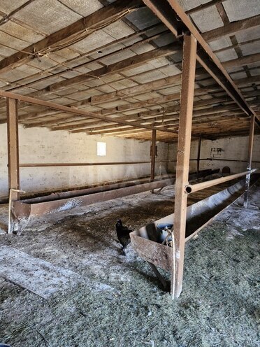 Объект - пос. Бахар - 1200 м² (3)