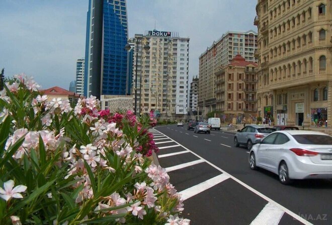 Сдаётся  объект 1 000 м², м. Шах Исмаил Хатаи, photo 21 from 22