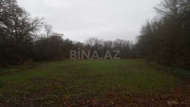 Torpaq - Xaçmaz - 49 sot (2)