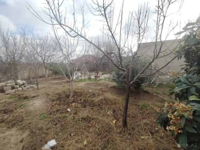 2-комн. дом/дача - пос. Бузовна - 30 м² (5)