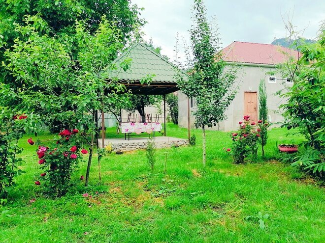 3 otaqlı həyət evi/bağ evi - Qəbələ - 80 m² (1)