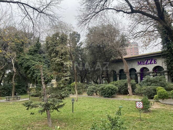 5 otaqlı yeni tikili - Nizami m. - 234 m² (5)