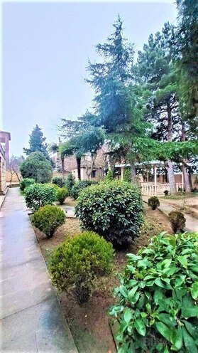 7 otaqlı həyət evi/bağ evi - Badamdar q. - 450 m² (2)