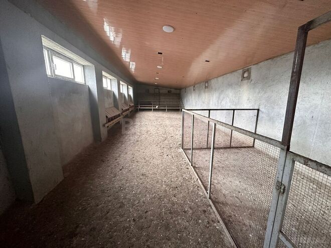 Obyekt - Quba - 600 m² (6)