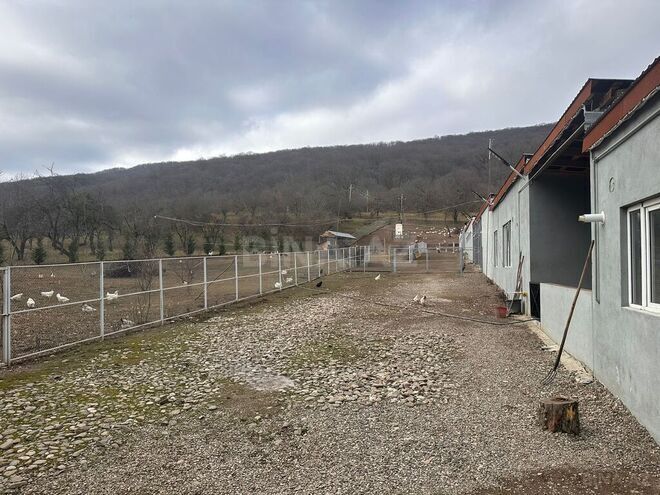 Obyekt - Quba - 600 m² (2)